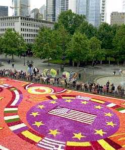 911day - MisterShortcut Approach - Photo Twelve