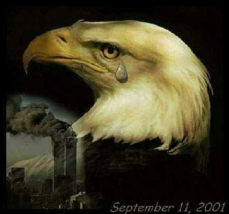 911day Photo Tributes - MisterShortcut Approach - Photo One Hundred Thirty-Five