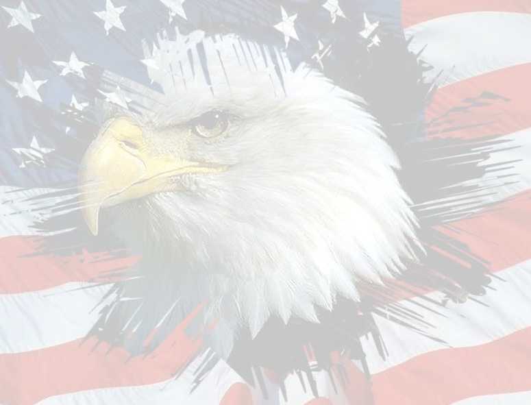 911day Photos - MisterShortcut Approach - Photo One Hundred Thirty-Six